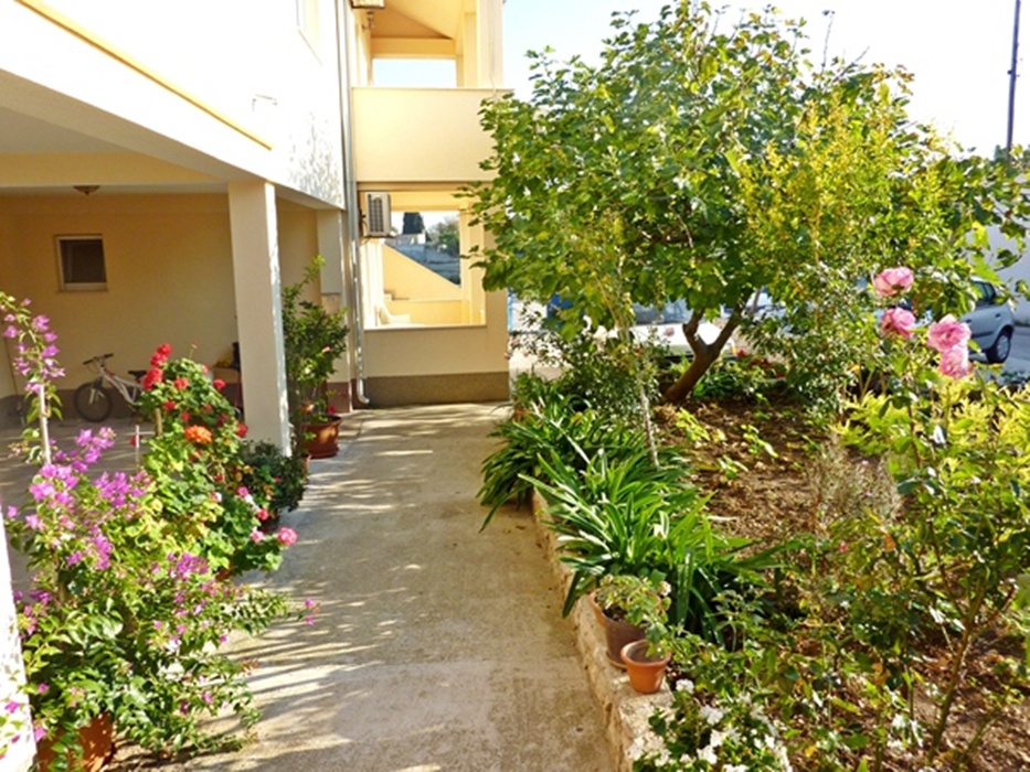 Amfora tourist agency