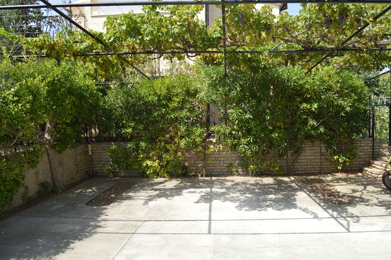 Amfora tourist agency